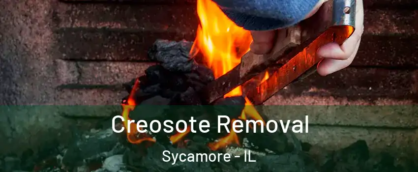 Creosote Removal Sycamore - IL
